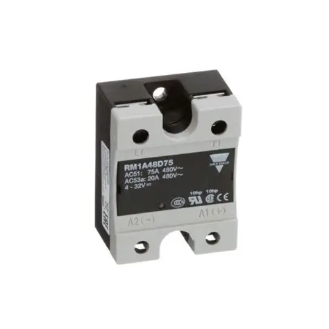 Carlo Gavazzi RM1A